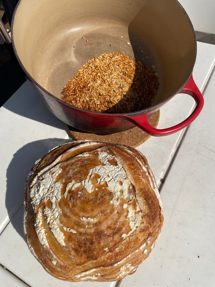 Clips: Rice in Sourdough Baking